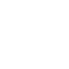 logo dra. claudia roco png 3